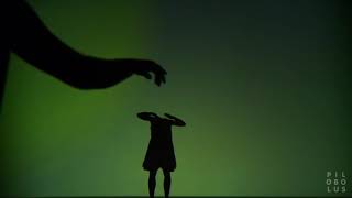 Pilobolus SHADOWLAND the quotTransformationquot excerpt [upl. by Dupaix]