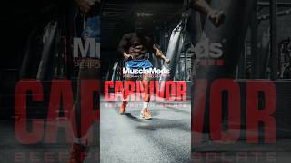 MuscleMeds CARNIVOR ft NDOCHAMP84 shorts fitness protein [upl. by Modestia831]