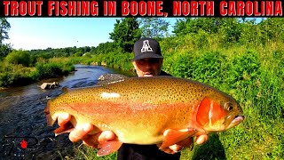 Trout Fishing Boone North Carolina [upl. by Kyla932]