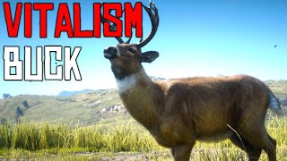 Red Dead Online Buck Vitalism Studies [upl. by Landing]