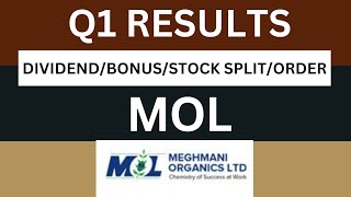 Meghmani organics Q1 Results 2025  meghmani Results Today  meghmani organics Share Latest News [upl. by Ada]