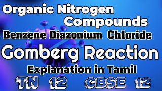 ONC34Gomberg ReactionBenzenediazoniumchlorideExplanation in Tamil [upl. by Lledner]