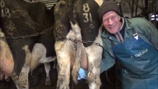 Making cheese from our cows milk Part 1 [upl. by Dranreb]