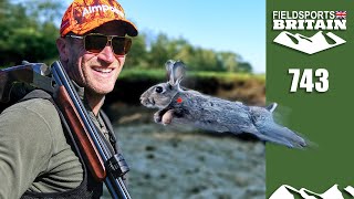 Fieldsports Britain – Red dot rabbits [upl. by Nylkoorb]