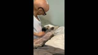 Adalia Rose last video adalia Rose death news [upl. by Nomyaw]