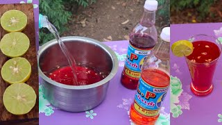 Nannari Sarbath Recipe ⛱️  3000 ML Sarbath Recipe Making at Home  Summer Famous Sarbath Drinks [upl. by Bromley]