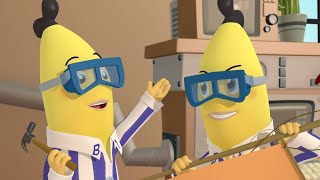 The Inventing Bananas  Bananas in Pyjamas Season 2  Full Episodes  Bananas In Pyjamas [upl. by Tabb628]