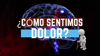 COMO SENTIMOS DOLOR [upl. by Onailime432]