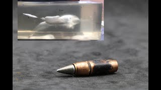 M855A1 The Best 556x45mm Round Gel Test [upl. by Ttocs]