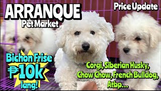 Arranque Pet Market  January 12 2023  Recto Manila [upl. by Hoeg678]