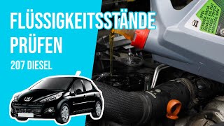 Die Flüssigkeitsstände prüfen Peugeot 207 14 HDi 📏 [upl. by Xila253]