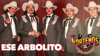 Ese Arbolito Karaoke Norteños de Ojinaga Norteño Sax [upl. by Ahsima]