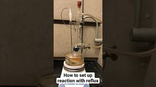 How to Set up Reaction with Reflux  Organic Chemistry [upl. by Lellih795]