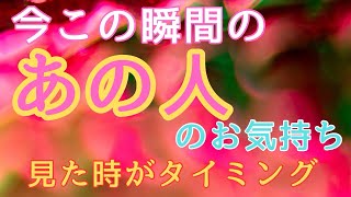 今この瞬間のあの人のお気持ち🩷見た時がタイミング🧚‍♂️【お相手の愛情深さがわかりました💓】 [upl. by Niac]