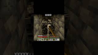 When you strip mine ‼️ minecraft minecrfatmemes shorts gaming [upl. by Adnarom628]