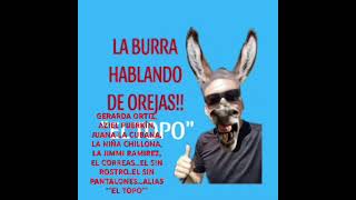 LA GERARDA ORTIZ…LA BATALLONA DEFENSORA DEL CRIMINAL NAASON PUERKÍN LA LLORONA…ALIAS “”EL TOPO”” [upl. by Aryc]