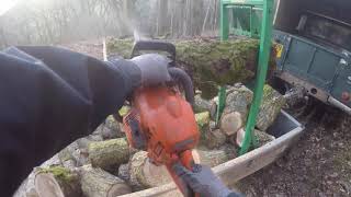 Timbercroc Log Holder  Chainsaw Stand  Sawhorse in action demo from our customer [upl. by Hamlin276]