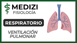 Clase 37 Fisiología Respiratoria  Ventilación Pulmonar IGdoctorpaiva [upl. by Eidnam]