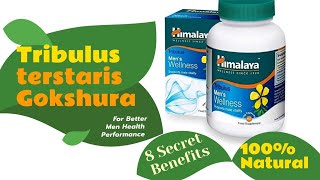 Himalaya Tribulus terstaris Gokshura capsules for men health uses and side effects  Medic Health [upl. by Luamaj625]