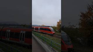 BR 644 029 der Deutsche Bahn in Grenzach deutschebahn dbregio trainspotting shorts yt [upl. by Kilk]