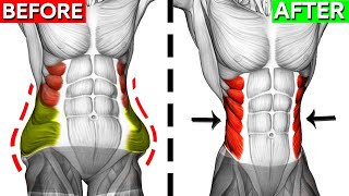 Dont Miss These 10 Perfect Oblique Exercises 🎯 [upl. by Leuams]