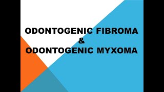 odontogenic fibroma and odontogenic myxoma PPT odontogenic tumorsppt [upl. by Elagibba]