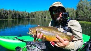 Why Are These Brook Trout So Picky  Fly Fishing Travel Vlog [upl. by Amat]