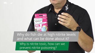 JBL TV 7 Why do fish die in high nitrite levels and what can be done about it [upl. by Odlawso525]