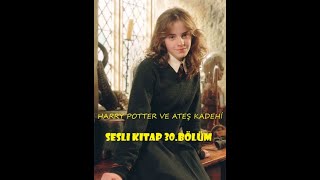 Harry Potter ve Ateş Kadehi  Bölüm 30  En İyi Sesli Kitap [upl. by Gerianna]