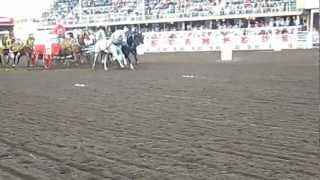 Calgary Stampede 2013 Chuckwagon Races  Rodeo de Calgary 2013 carrera en vagones [upl. by Kina]