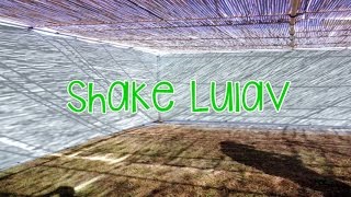 quotShake Lulavquot based on Taylor Swifts quotShake It Offquot [upl. by Geiss877]