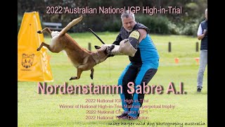 2022 Nordenstamm Sabre HighinTrial Protection Australian National Malinois IGP Championship [upl. by Gilli]