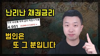 채권금리를 이렇게 만든 범인은 그분입니다ft미국 [upl. by Ajram]