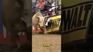 The BULLFIGHTERS World westernsports rodeowrecks rodeo pbr bullfighters bullriding [upl. by Lerat512]