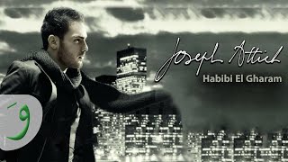 Joseph Attieh  Habibi El Gharam Official Clip  جوزيف عطيه  حبيبي الغرام [upl. by Fawne]