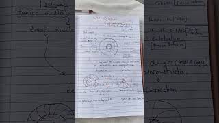 cellsignalling GPCRcell Signalling pathway [upl. by Alduino]