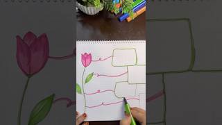 MIND MAP 🌷trending subscribe ytshorts [upl. by Kreitman]