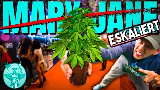 Mary Jane 2024 😱 was ist da passiert Samen Dünger Anzucht und Eskalation [upl. by Ecinej]