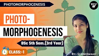 Introduction to Photomorphogenesis in plants BSc 3rd year  Last time exam Preparation 🔥 [upl. by Kyrstin135]