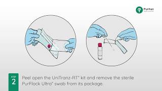 How to Swab for the Flu Collecting a Nasopharyngeal Swab Specimen [upl. by Abby850]