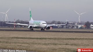 PHHZE Transavia 737800 NEW BRANDING SLOW MOTION Amsterdam Airport AMSSchiphol Polderbaan [upl. by Lecia920]