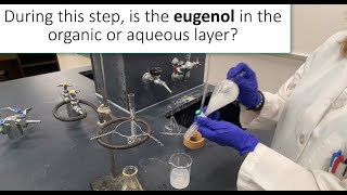 Isolation of Eugenol from Cloves  an Inquisitive Lab Demonstration [upl. by Edge]