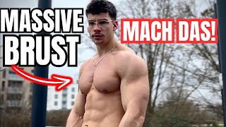 Das beste BRUST TRAINING  Calisthenics amp Gym [upl. by Sidwell]