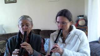 Treble alto Recorder duet El Mishyo Guatemalan traditional on dolmetsch amp moeck recorders [upl. by Nylekcaj]