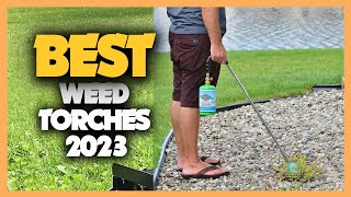 Top 10 Best Weed Torches 2023 [upl. by Nevur]