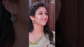 INIYA Serial Shorts  Ep 505  2  Alya ManasaRishi shorts ytshorts  Saregama TV Shows Tamil [upl. by Airtemak]