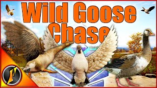 A Truly WILD Goose Chase  Diamonds Rares and More [upl. by Elleinaj]