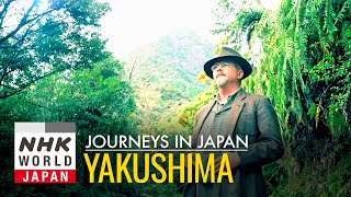 Yakushima Awakenings  Journeys in Japan [upl. by Ardnuas]