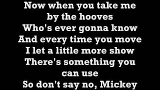 Toni BasilHey Mickey Lyrics [upl. by Tahpos573]