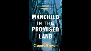 The Apocalypse is Here Episode 1 Manchild in a Promised Land by Claude Brown [upl. by Garlanda163]